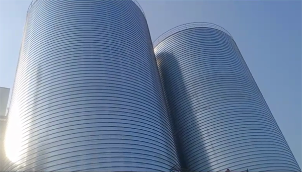 遂川2座混凝土高架卷板仓